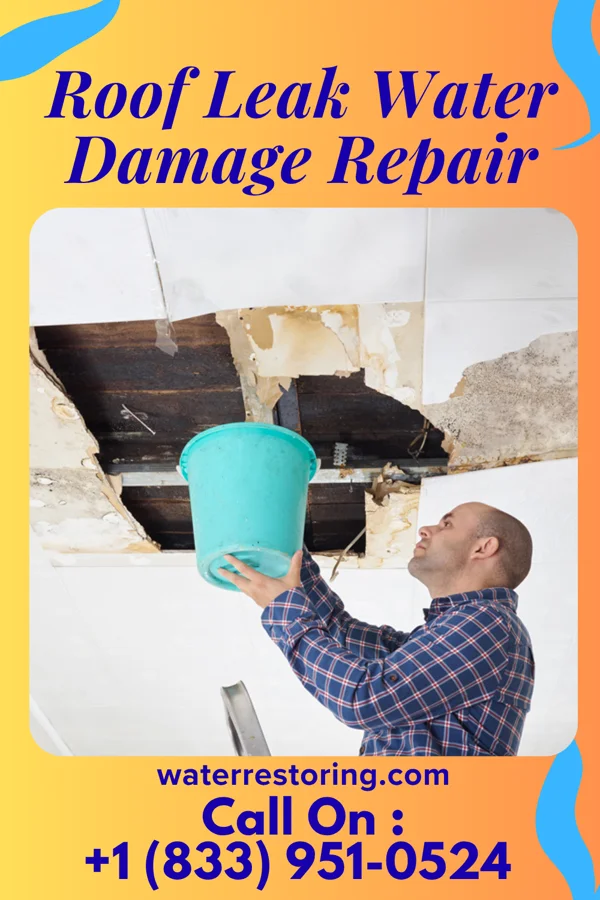 Roof Leak Water Damage Repair in Avondale, MO