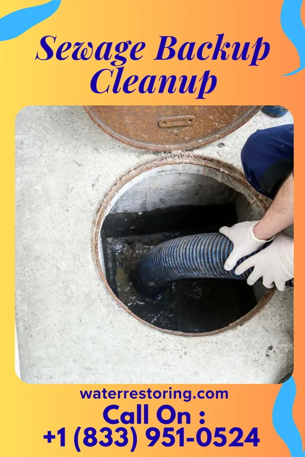 Sewage Backup Cleanup in Avondale, MO