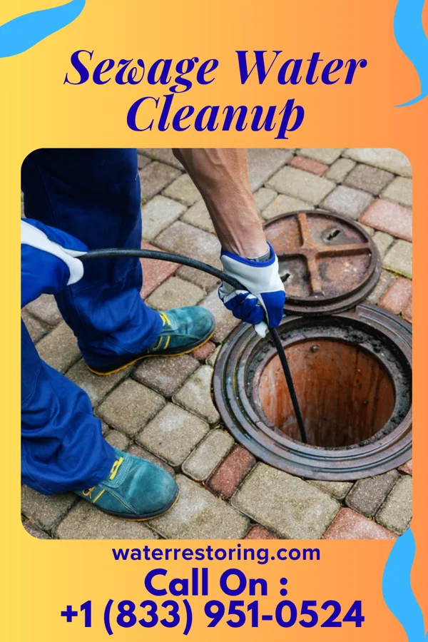 Sewage Water Cleanup in Avondale, MO